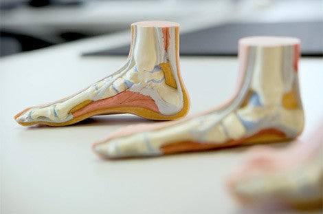 Introduction to Podiatric Biomechanics